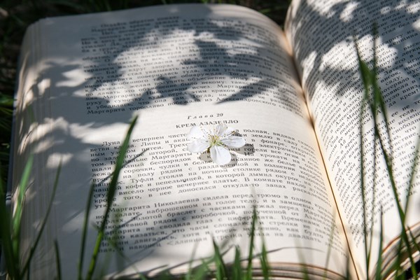 kb-books2