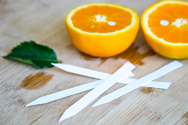 oranges and blotters
