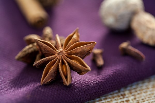 spice-star-anise